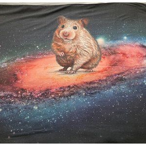 Tapestry Marmot Hamster In Space Galaxy Night Sky Wall Hanging Backdrop Decor